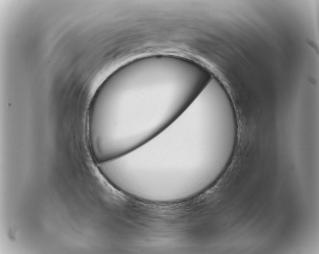 X0000102491520200808291638