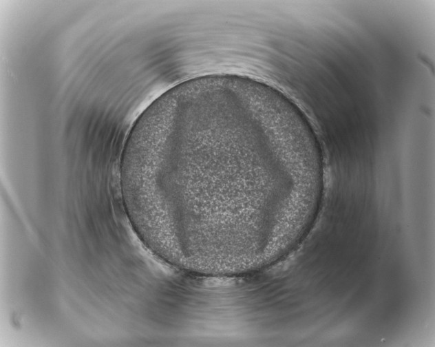 X0000102491521200808291638