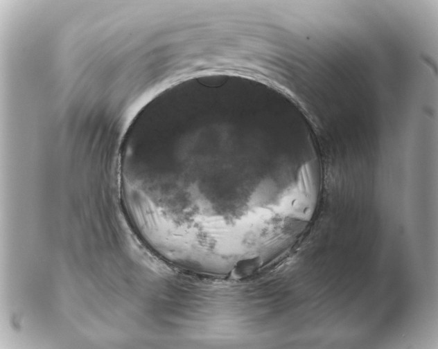 X0000102491522200808291638