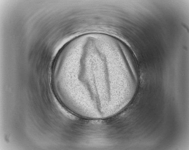 X0000102491523200808291638