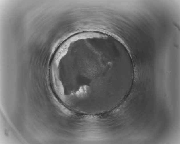 X0000102491525200808291638