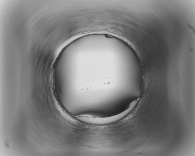 X0000102491526200808291638