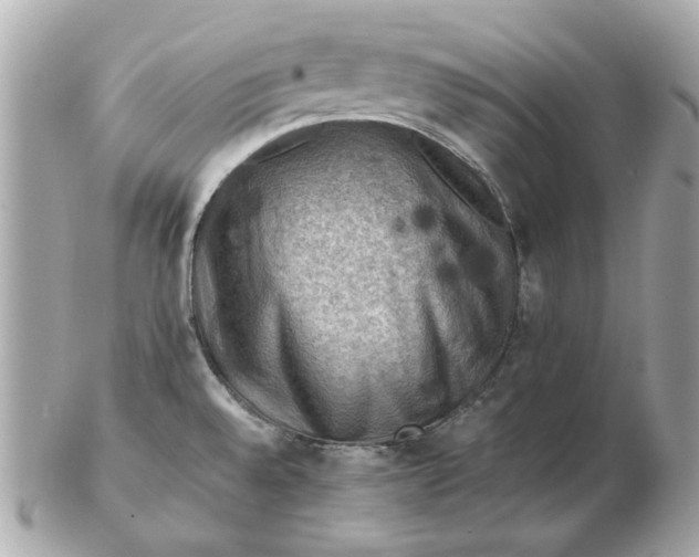 X0000102491528200808291638