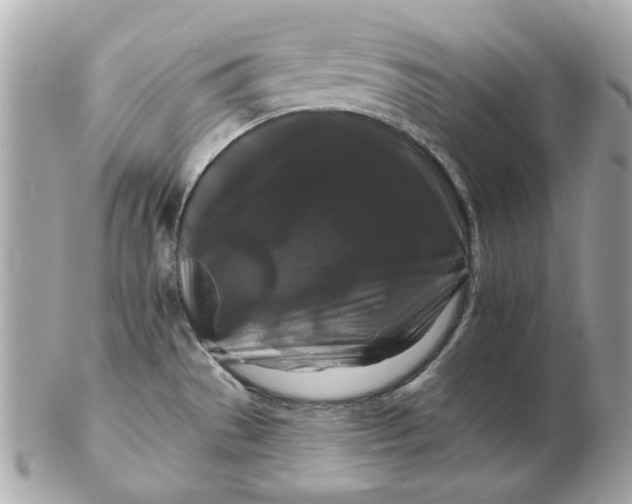 X0000102491529200808291638