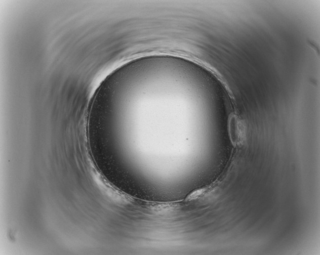 X0000102491530200808291638