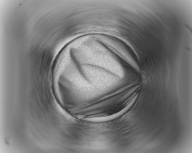 X0000102491531200808291638