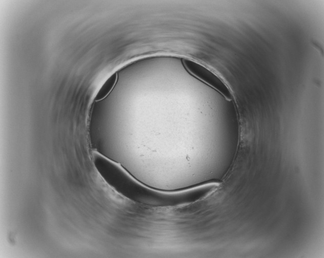 X0000102491532200808291638