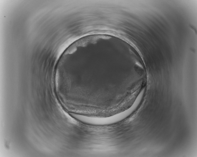 X0000102491533200808291638