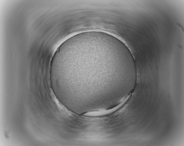 X0000102491534200808291638