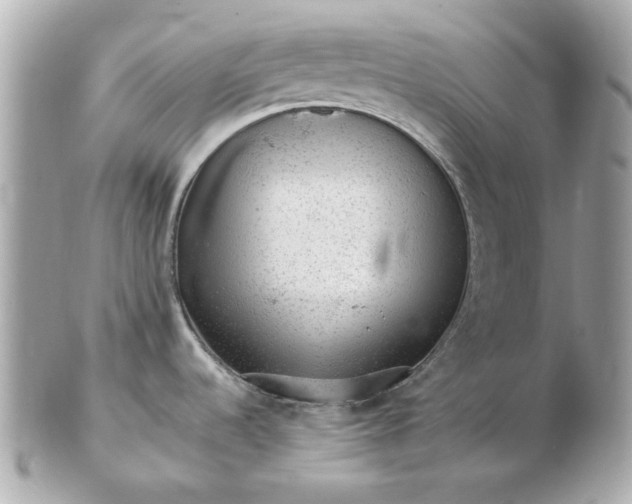 X0000102491536200808291638