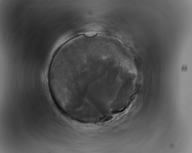 X0000102490004200809051333