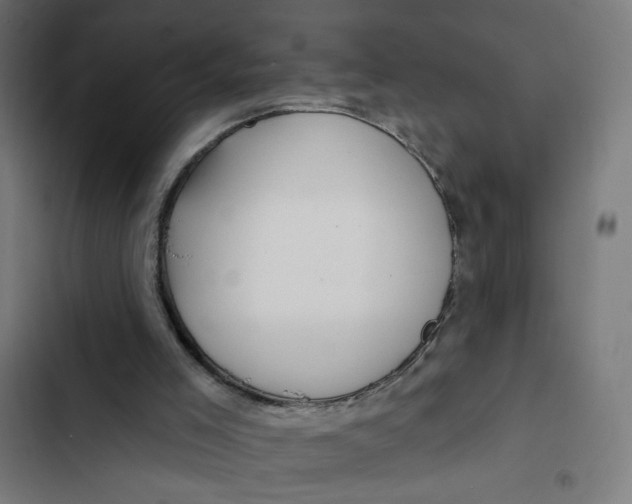 X0000102490005200809051333