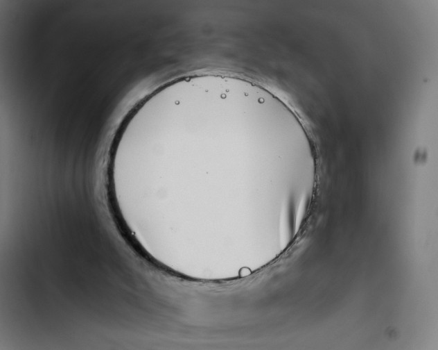 X0000102490007200809051333