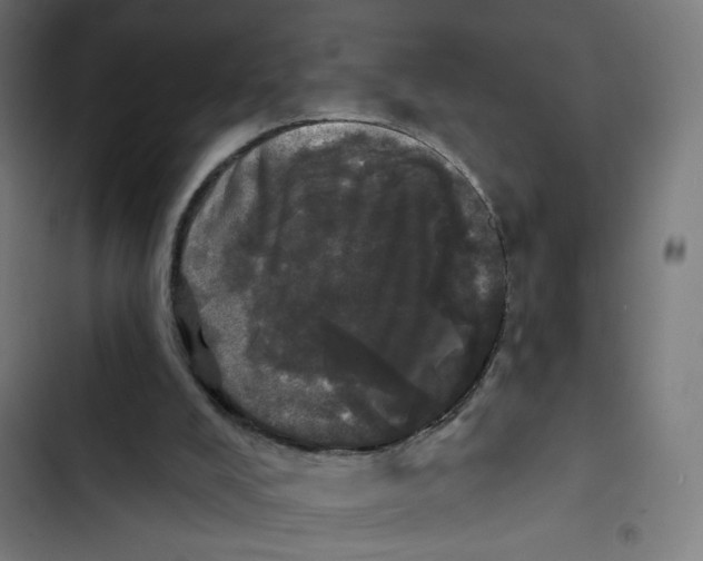 X0000102490008200809051333