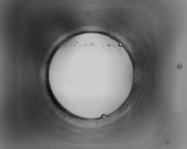 X0000102490015200809051333