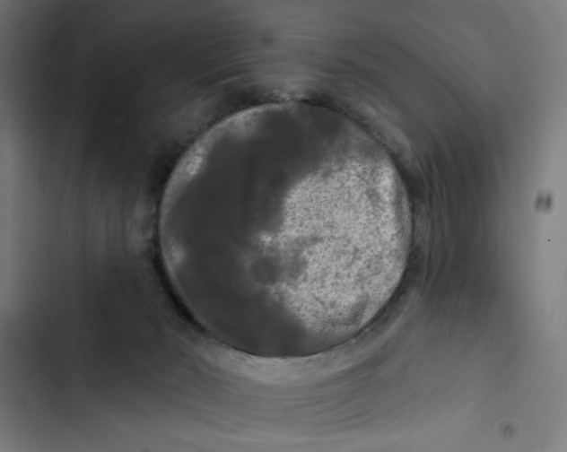 X0000102490030200809051333