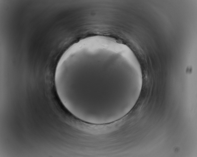 X0000102490031200809051333