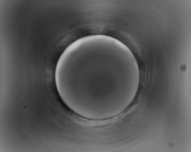 X0000102490035200809051333