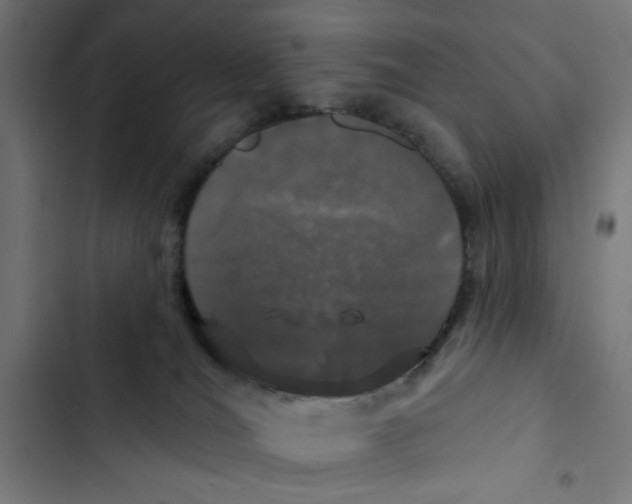 X0000102490036200809051333