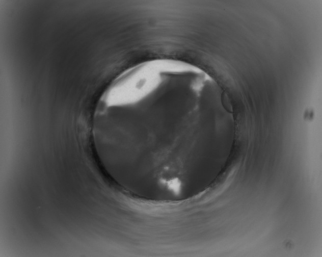 X0000102490040200809051333