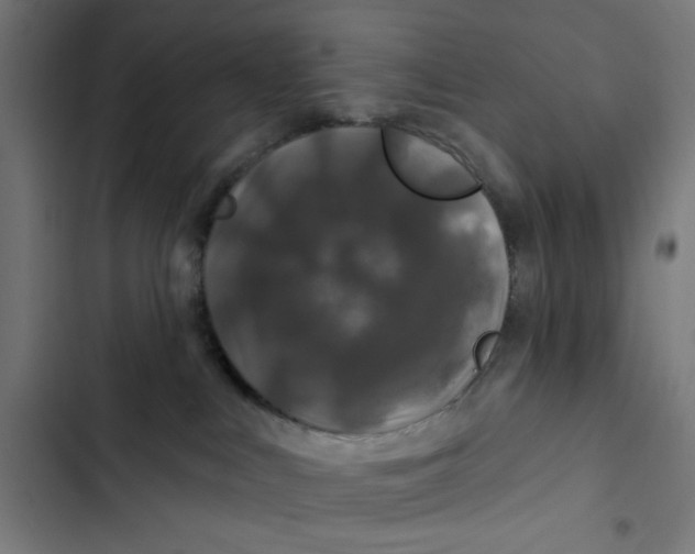 X0000102490043200809051332