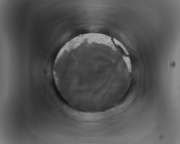 X0000102490044200809051332