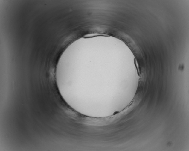 X0000102490045200809051332