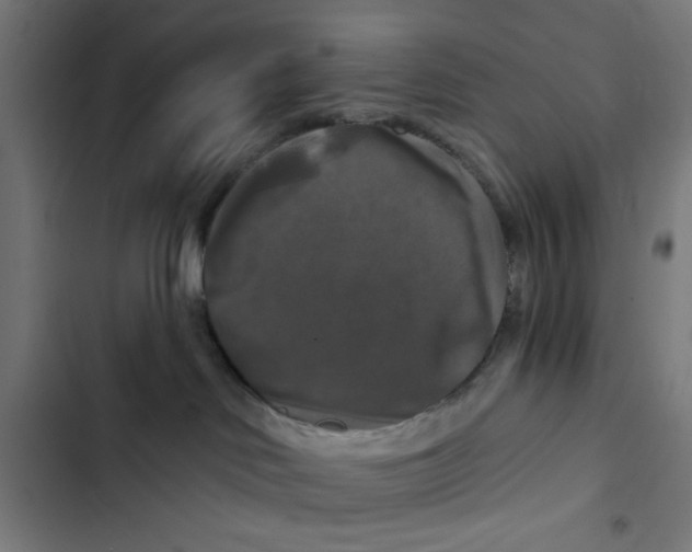 X0000102490046200809051332