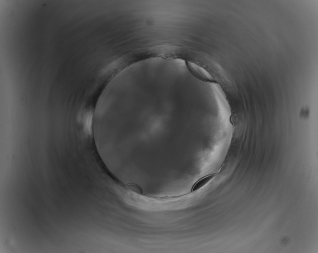 X0000102490047200809051332