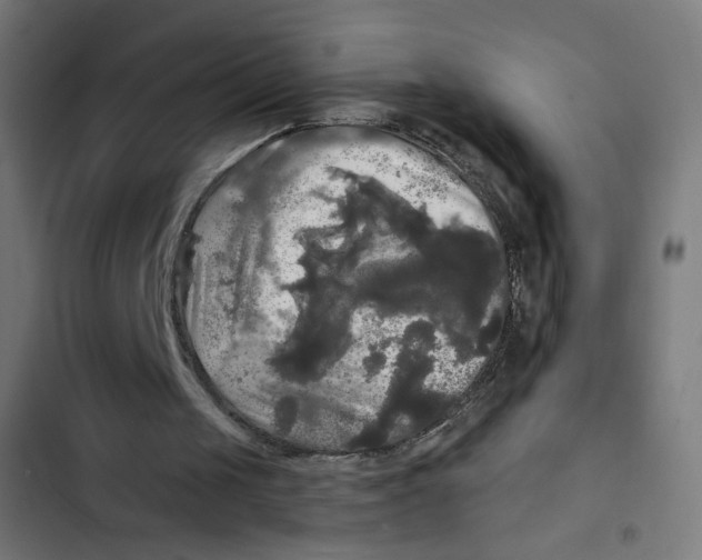 X0000102490049200809051331