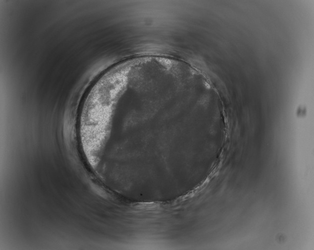 X0000102490050200809051331