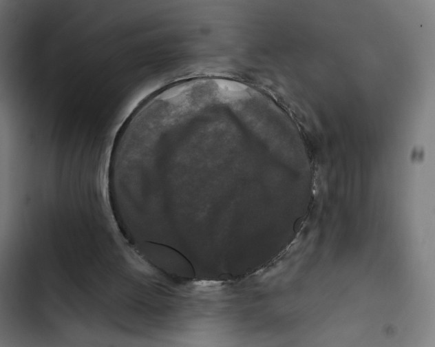 X0000102490052200809051331