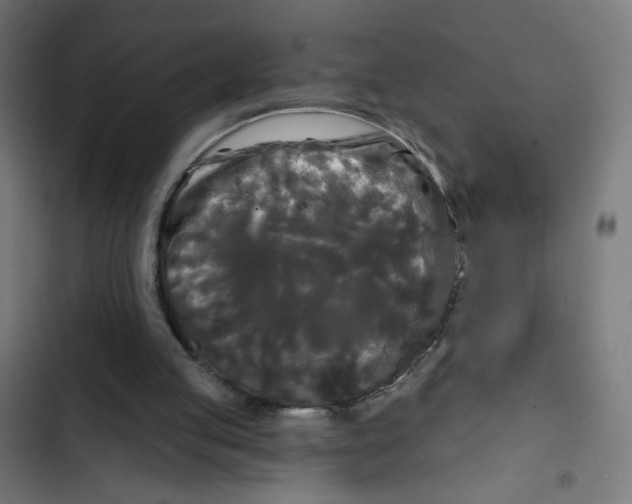 X0000102490053200809051331