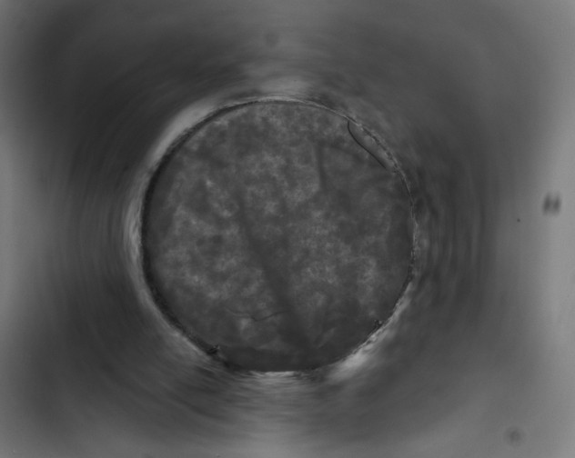 X0000102490054200809051331