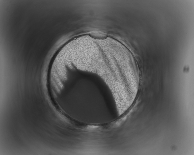 X0000102490055200809051332