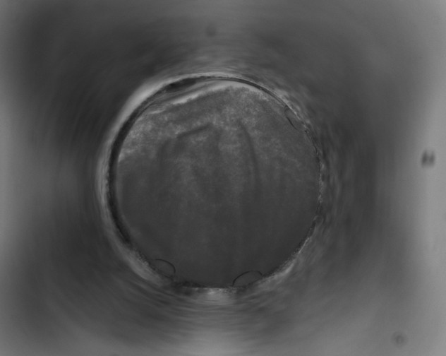 X0000102490056200809051332