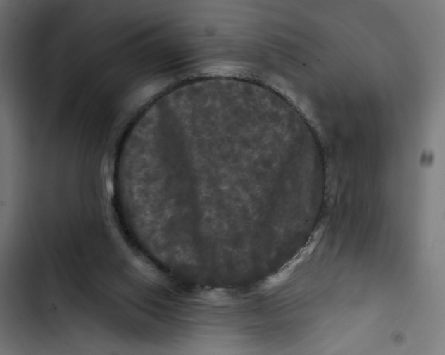 X0000102490062200809051332