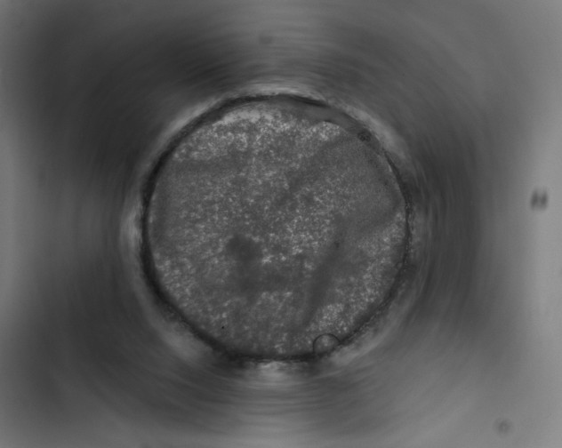 X0000102490064200809051332