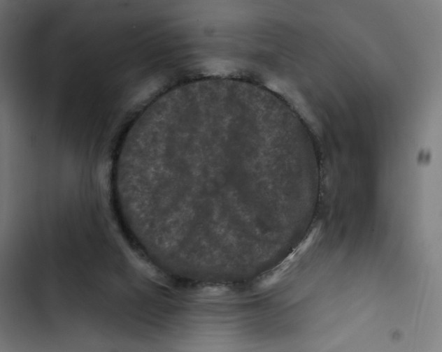 X0000102490066200809051332