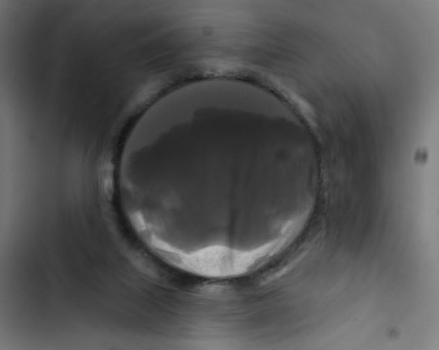 X0000102490067200809051332