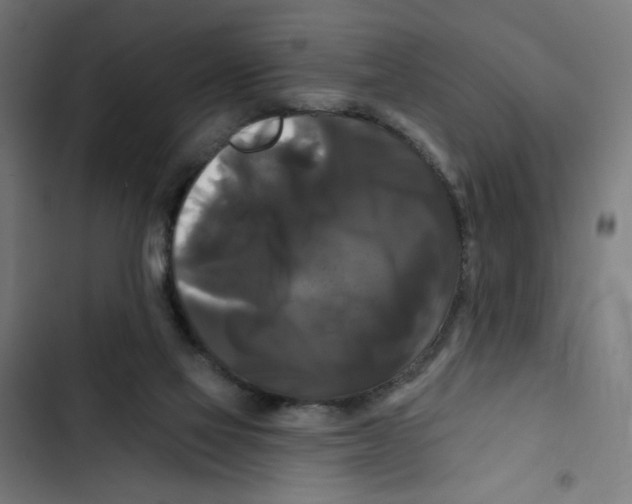 X0000102490069200809051332