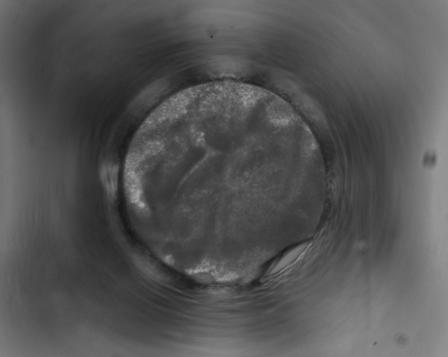 X0000102490070200809051332