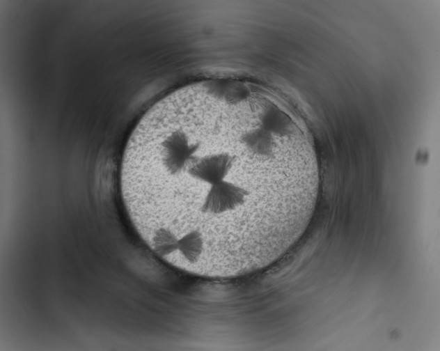 X0000102490071200809051332