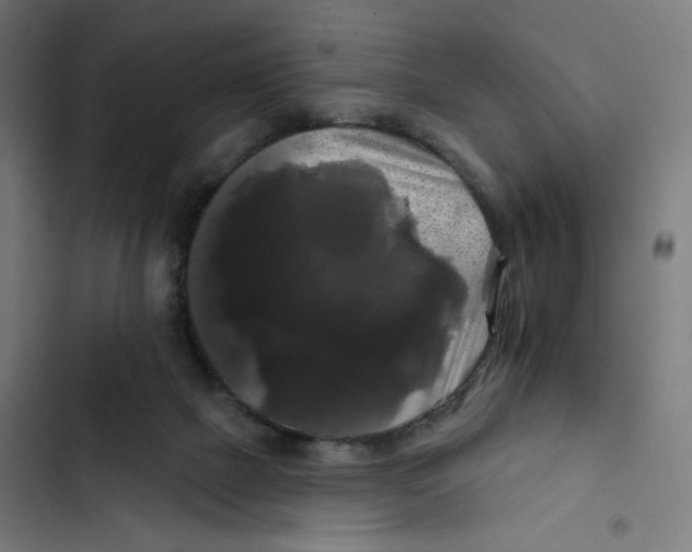 X0000102490073200809051332