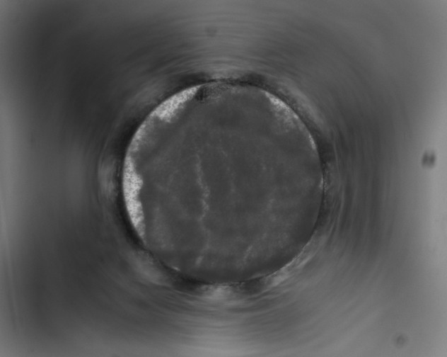 X0000102490074200809051332