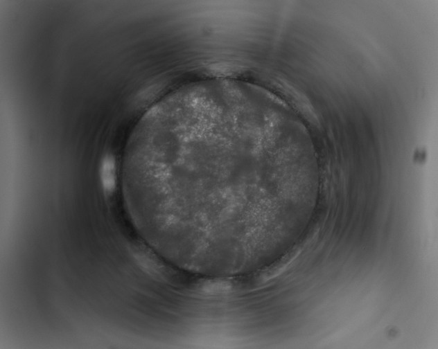 X0000102490075200809051332