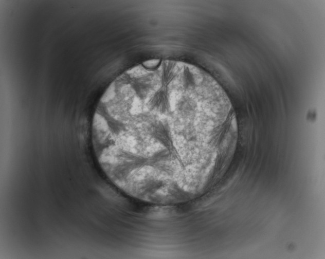 X0000102490077200809051332