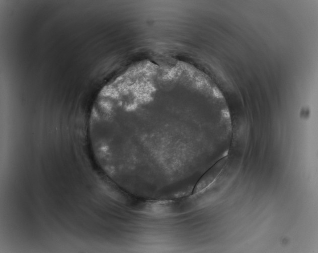 X0000102490078200809051332