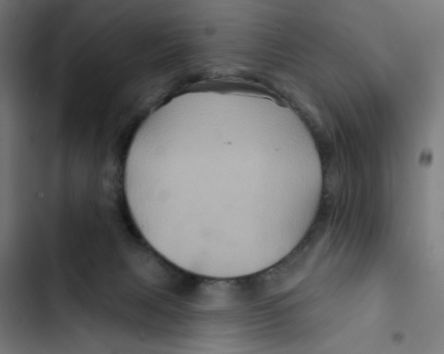 X0000102490079200809051332