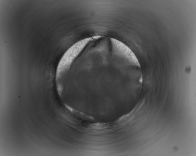 X0000102490082200809051332